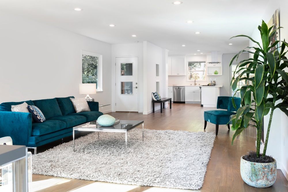 Beautiful and large living room interior with hardwood floors